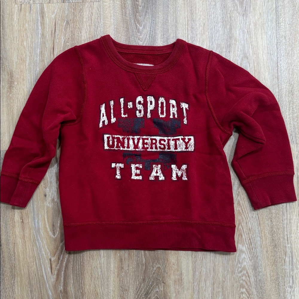The Children's Place Red All Sport University Team Sweater